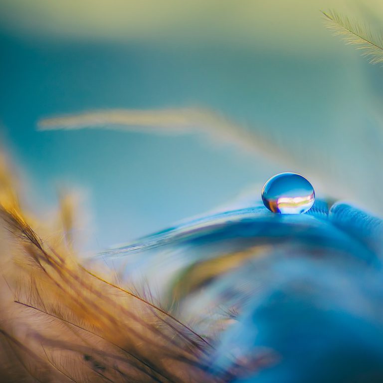 droplet-3716288_1280